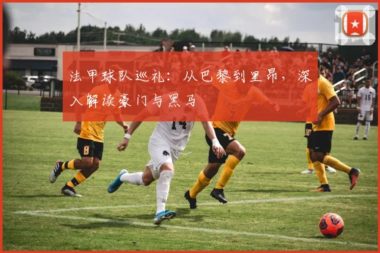 法甲球队巡礼：从巴黎到里昂，深入解读豪门与黑马