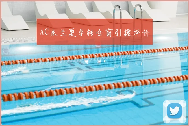 AC米兰夏季转会窗引援评价