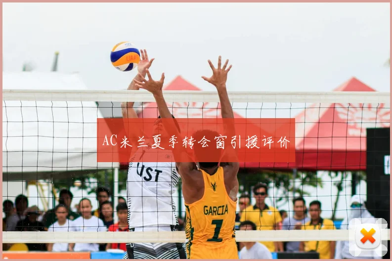 AC米兰夏季转会窗引援评价