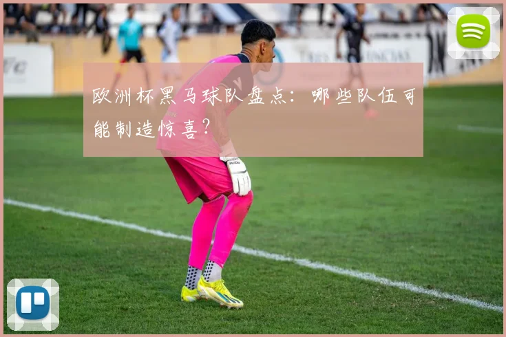 欧洲杯黑马球队盘点：哪些队伍可能制造惊喜？